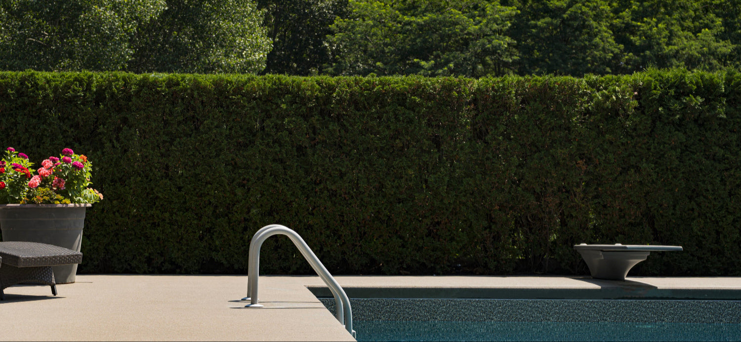 A well-designed backyard space with a swimming pool and lush hedges creating a relaxing and stylish outdoor retreat. Transform your backyard into a luxurious oasis.