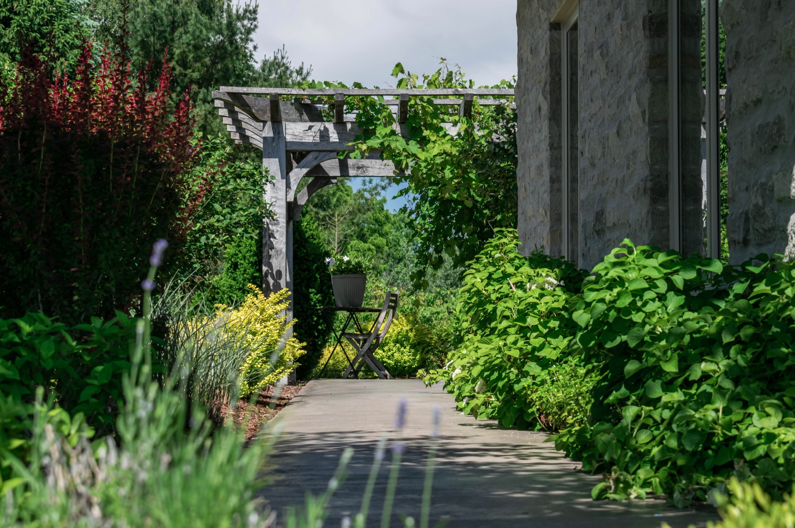 a shaded garden walkway bordered by green plants, a wooden pergola with vines overhead frames a small seating area with a table and chair 