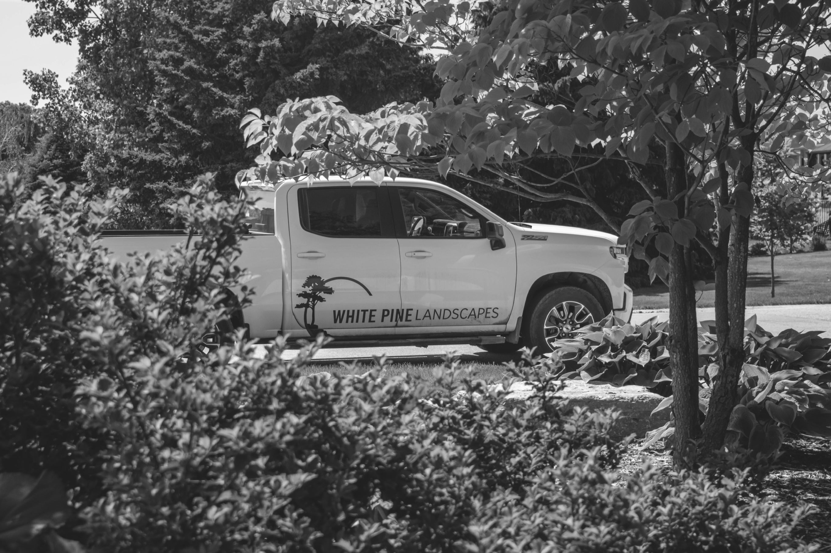 white pine landscapes truck 